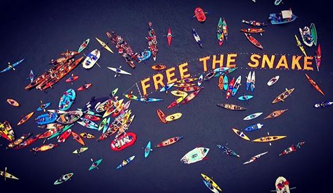 free the snake image 