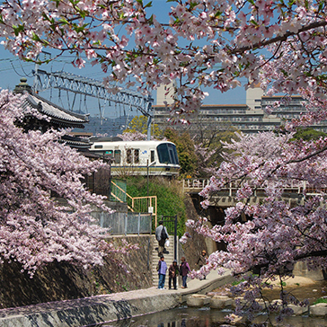 Nishinomiya 364x364