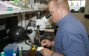 Jason Gerstner in the lab Jason Gerstner in the lab
